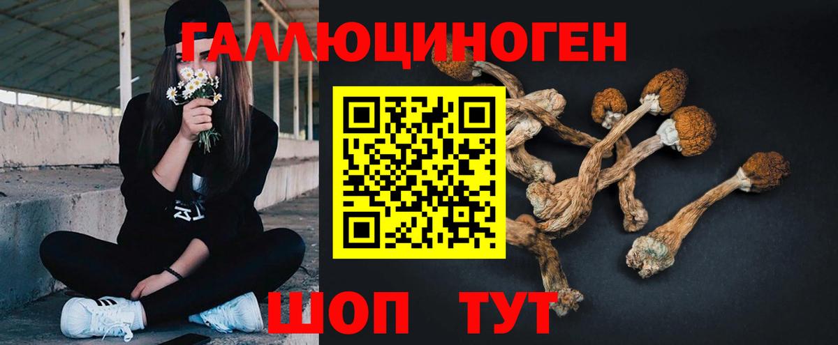 Галлюциногенные грибы ЛСД  Псилоцибиновые грибы мухоморы  купить   Вход с VPN  Знаменск 